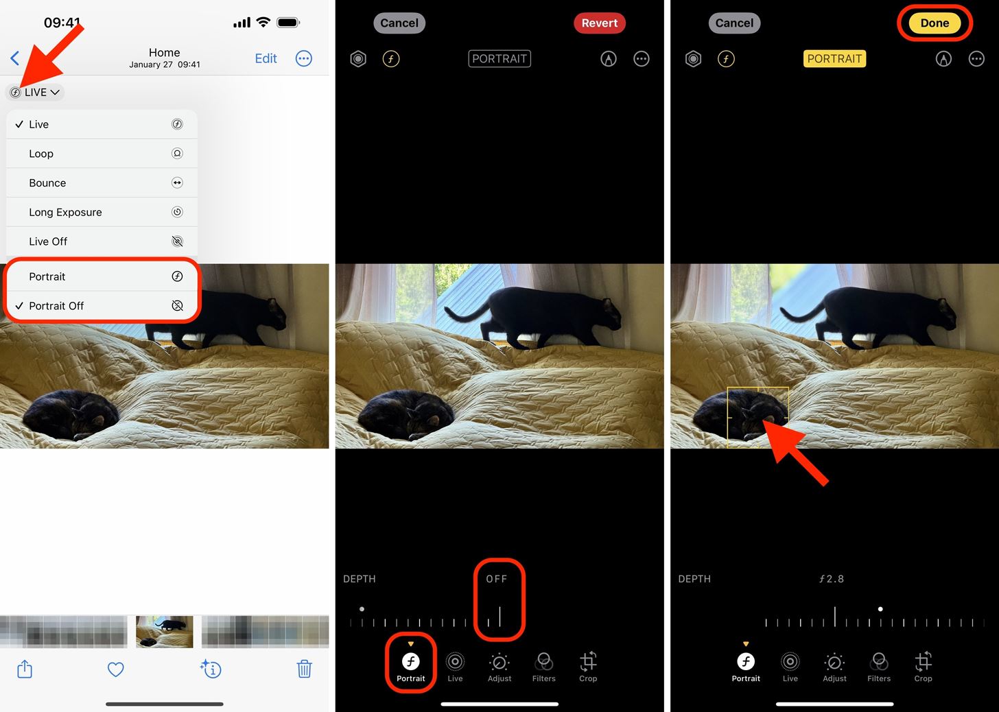 Transform Your iPhone Portraits with This Must-Know Refocusing Tool in Photos