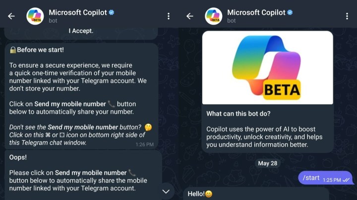 Copilot bot asking for phone number verification in Telegram.