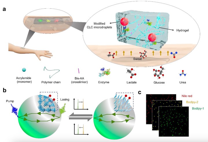 Workings of a smart band aid.