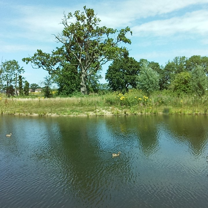 An original photo taken with the Rabbit R1, showing a lake.