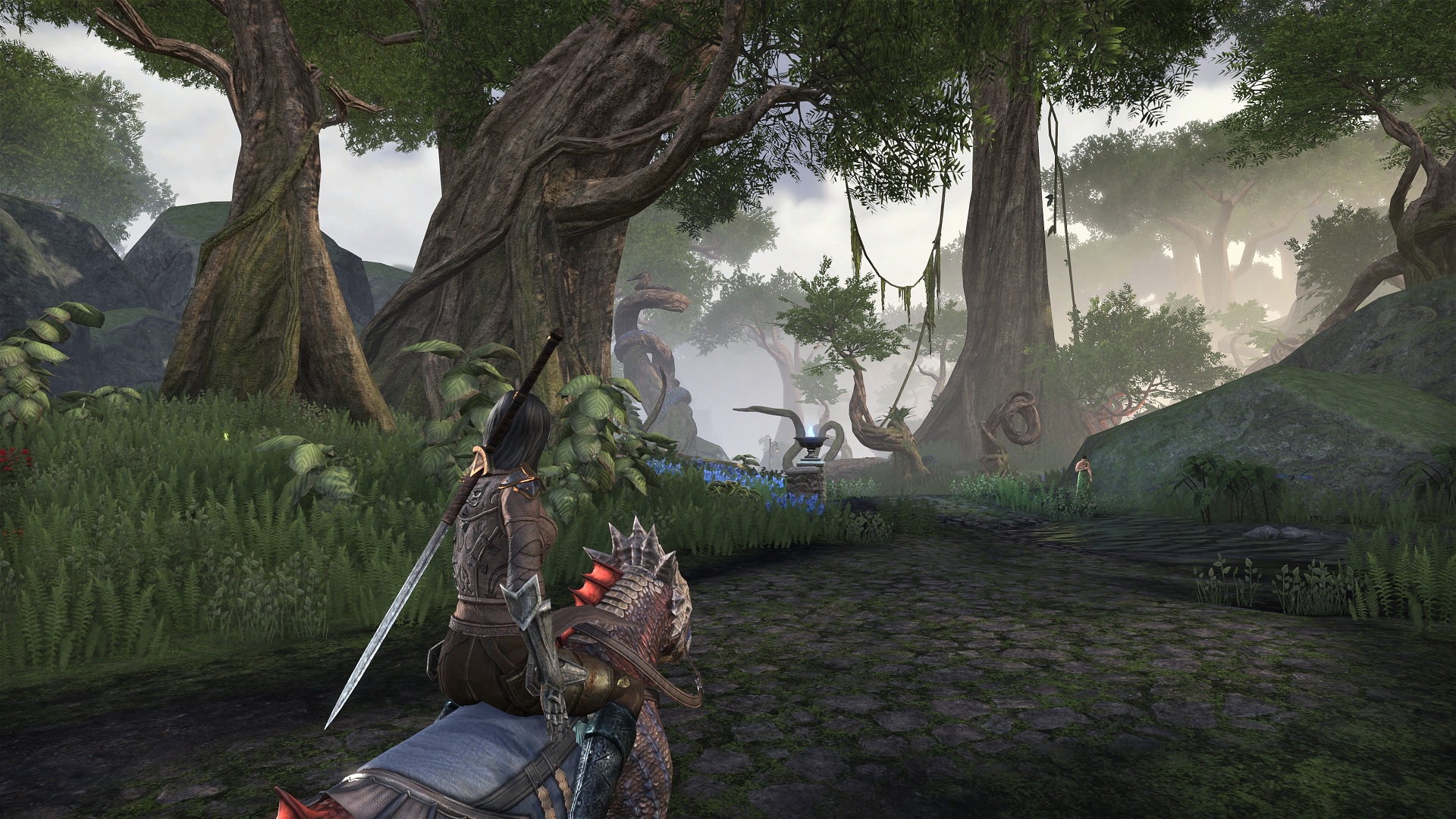 The Elder Scrolls Online: Gold Road forest