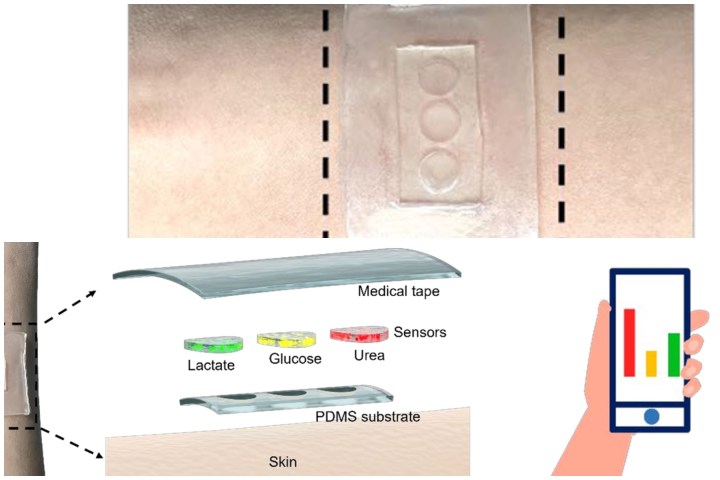 Schematic of smart band-aid for sweat analysis.