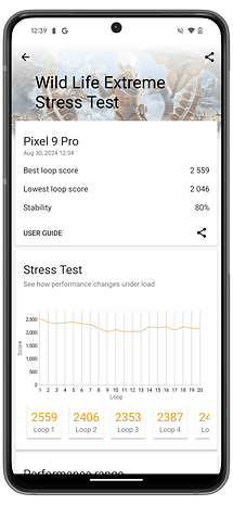 Screenshot from the Google Pixel 9 Pro benchmark results