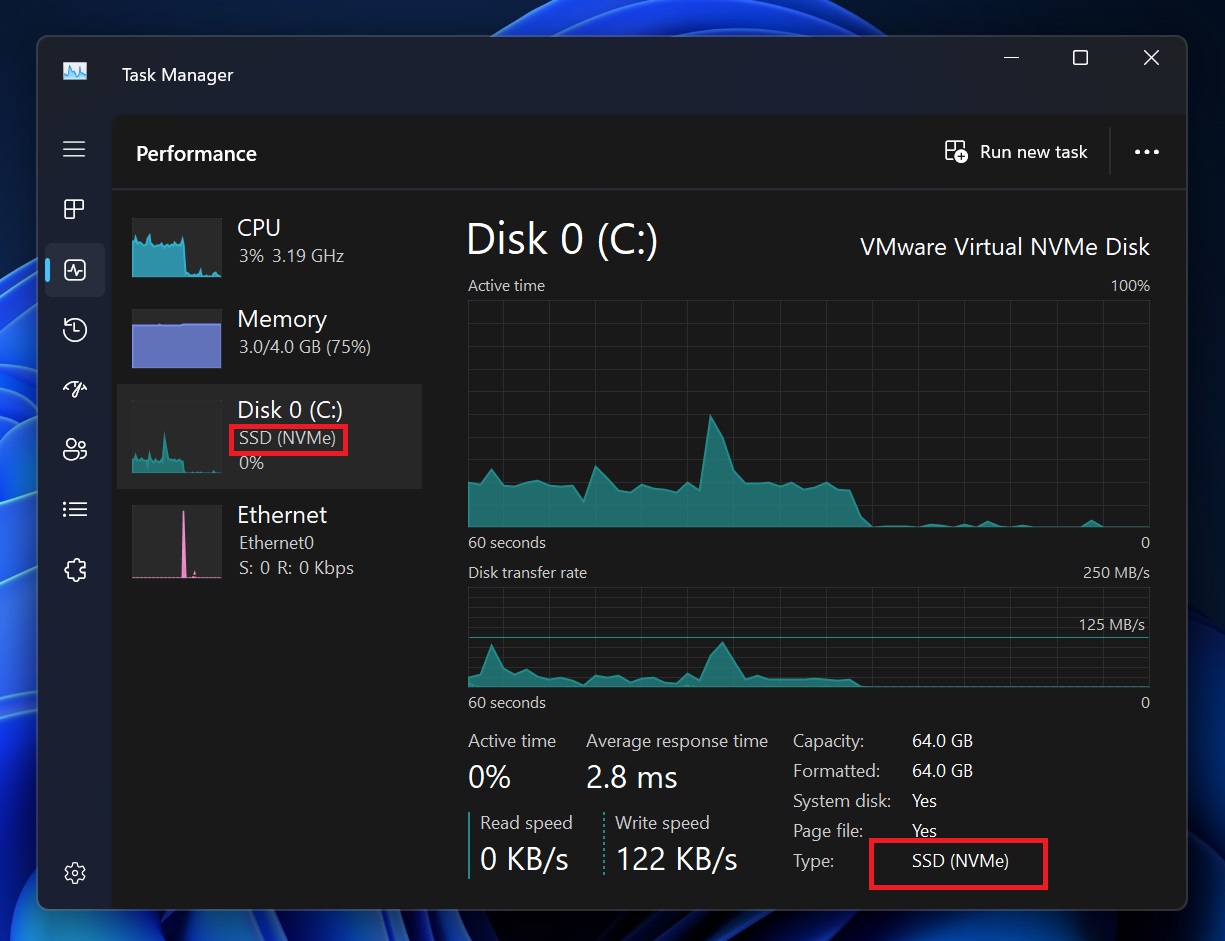 disk type details in task manager windows 11 beta