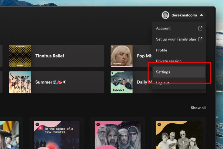  How to download music and podcasts from Spotify: Desktop settings.