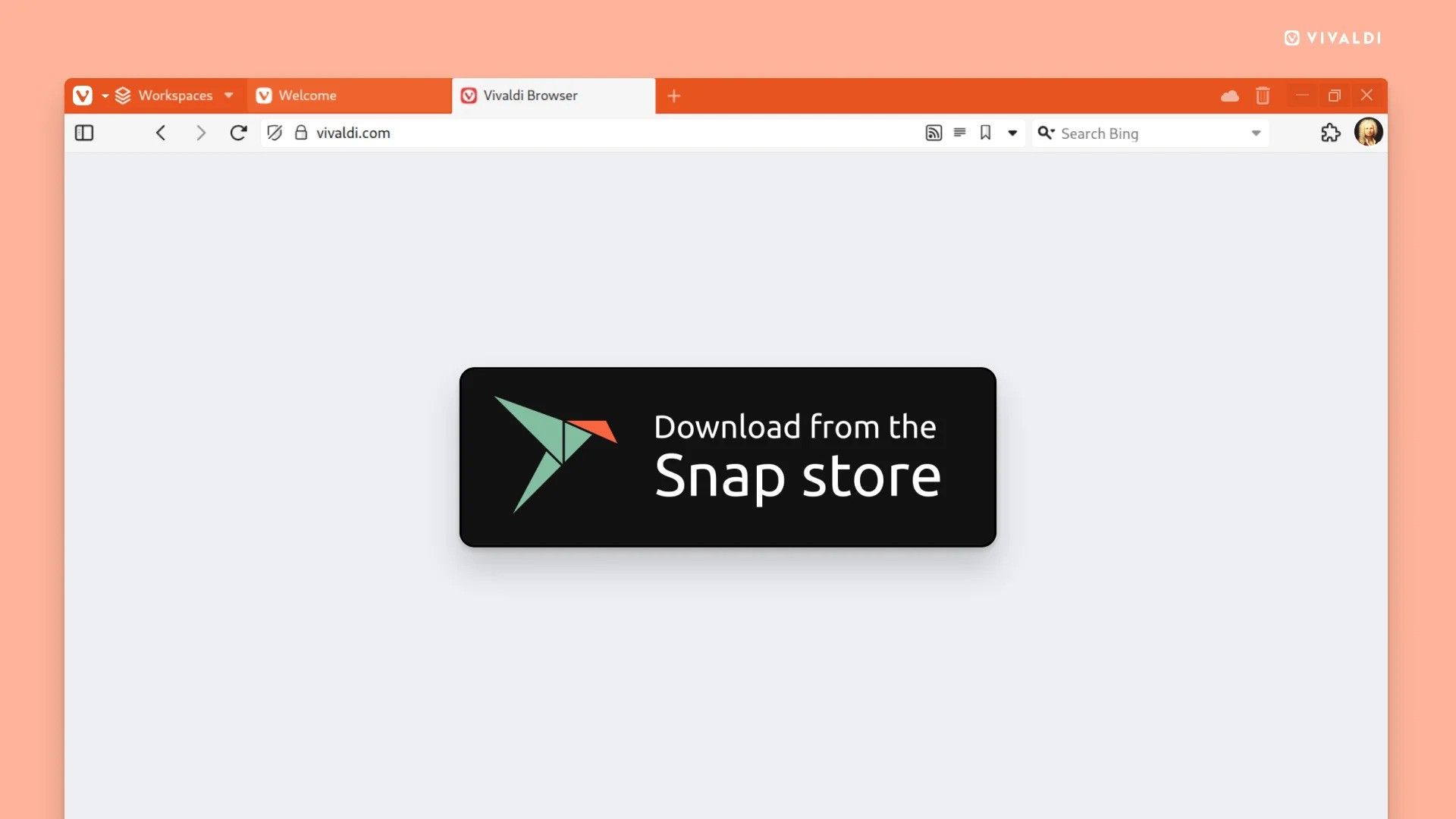 A Vivaldi Browser with the "download from the Snap store" logo