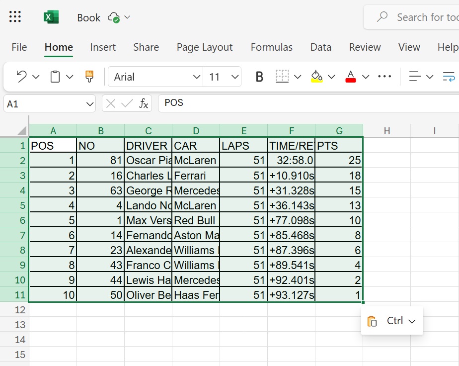 pasting the copied table data from image in Excel