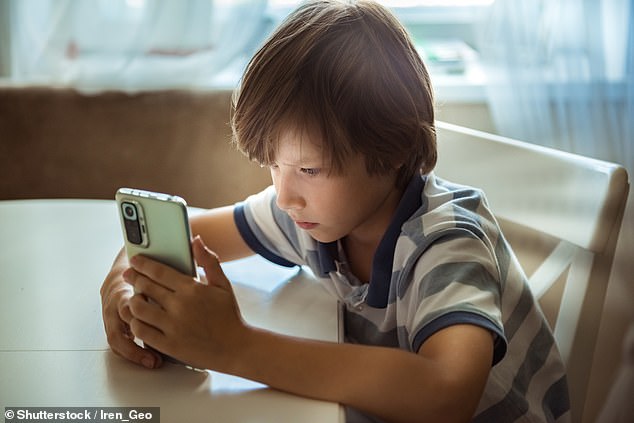 The Safer Phones Bill, which will be published on Tuesday would ¿raise the age of internet adulthood¿ from 13 to 16, preventing younger children from accessing standard social media sites without parental consent