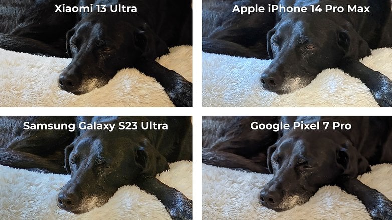 Significant differences in are reproduced in detail between different smartphones at 5x zoom.