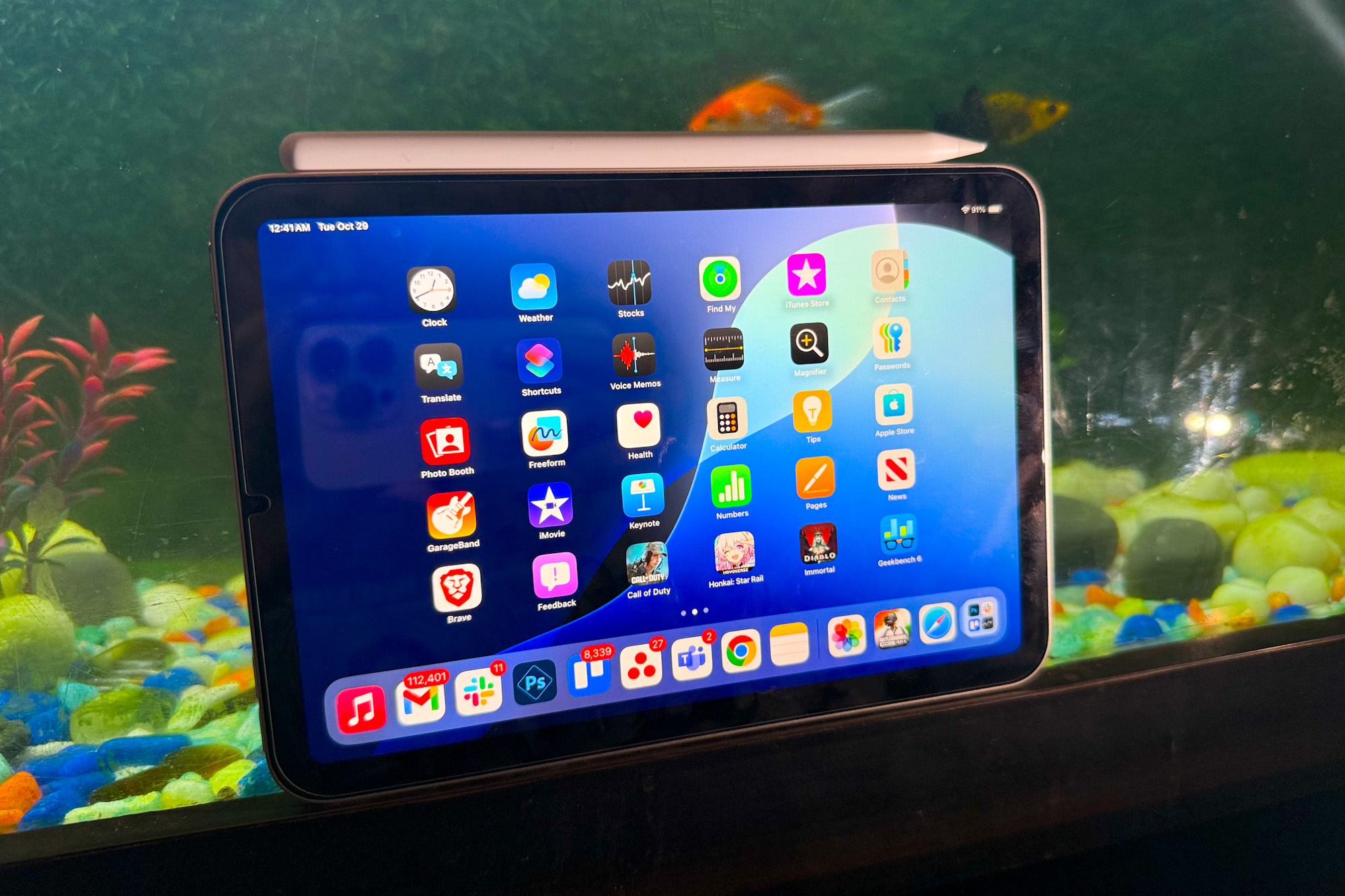 2024 iPad mini resting against a fish pool.