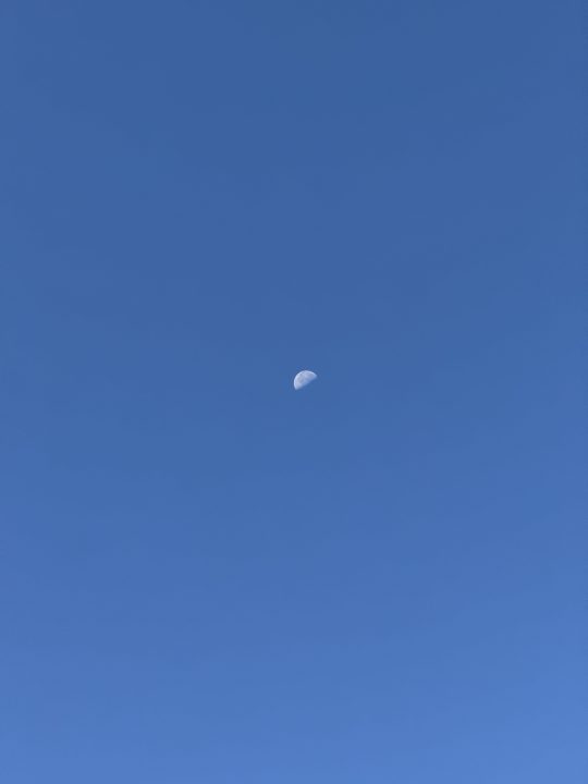 Daytime moon 5x taken with iPhone 16 Pro.