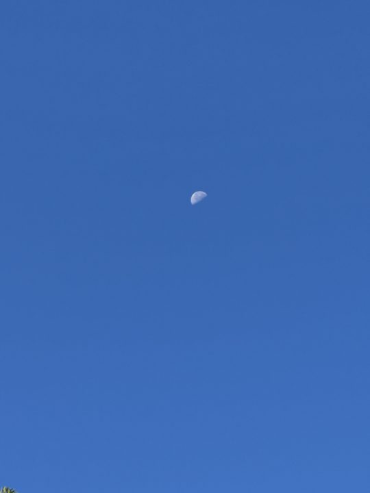 Day time moon 5x taken with iPhone 15 Pro.