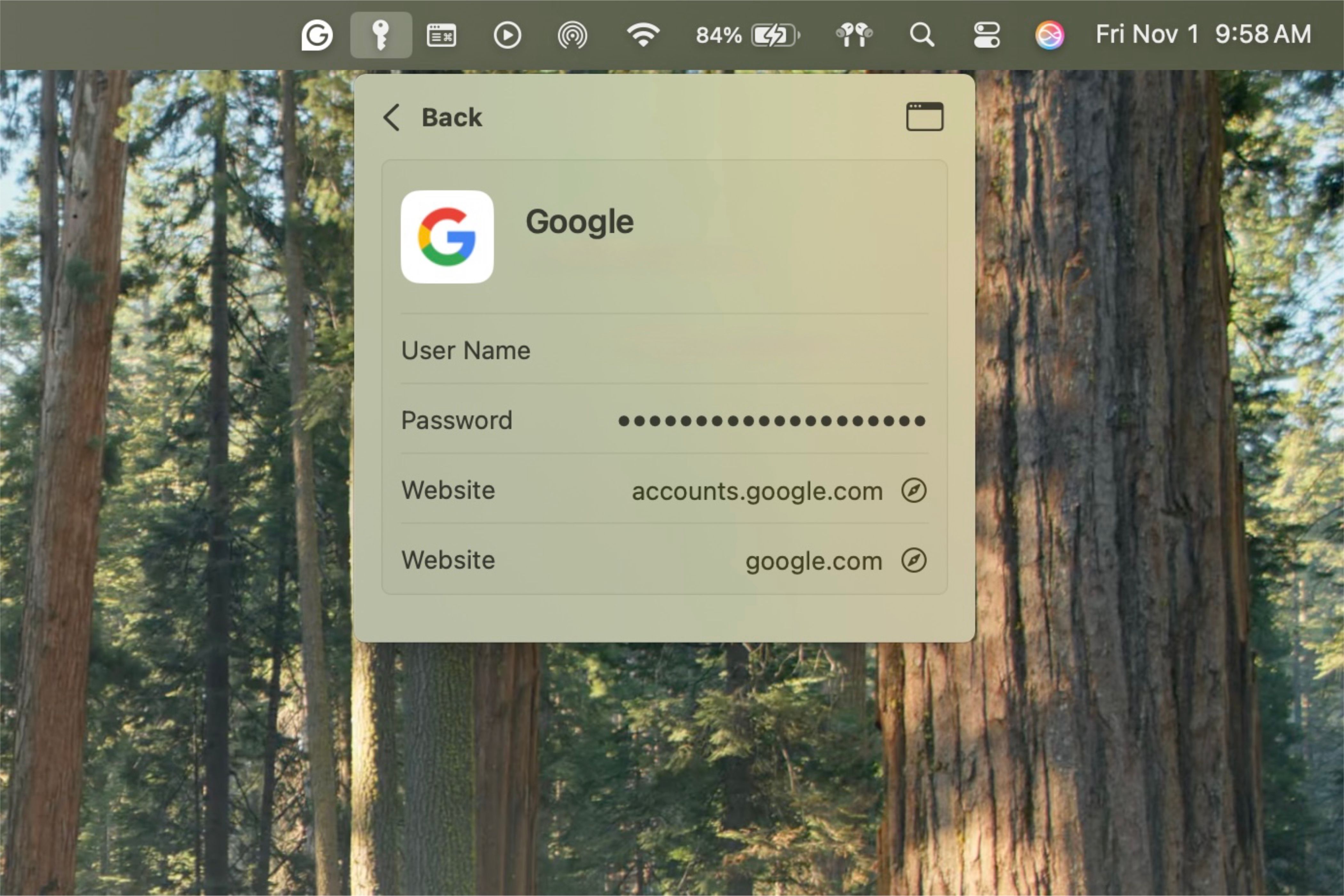 Password app showcasing account information in menu bar.