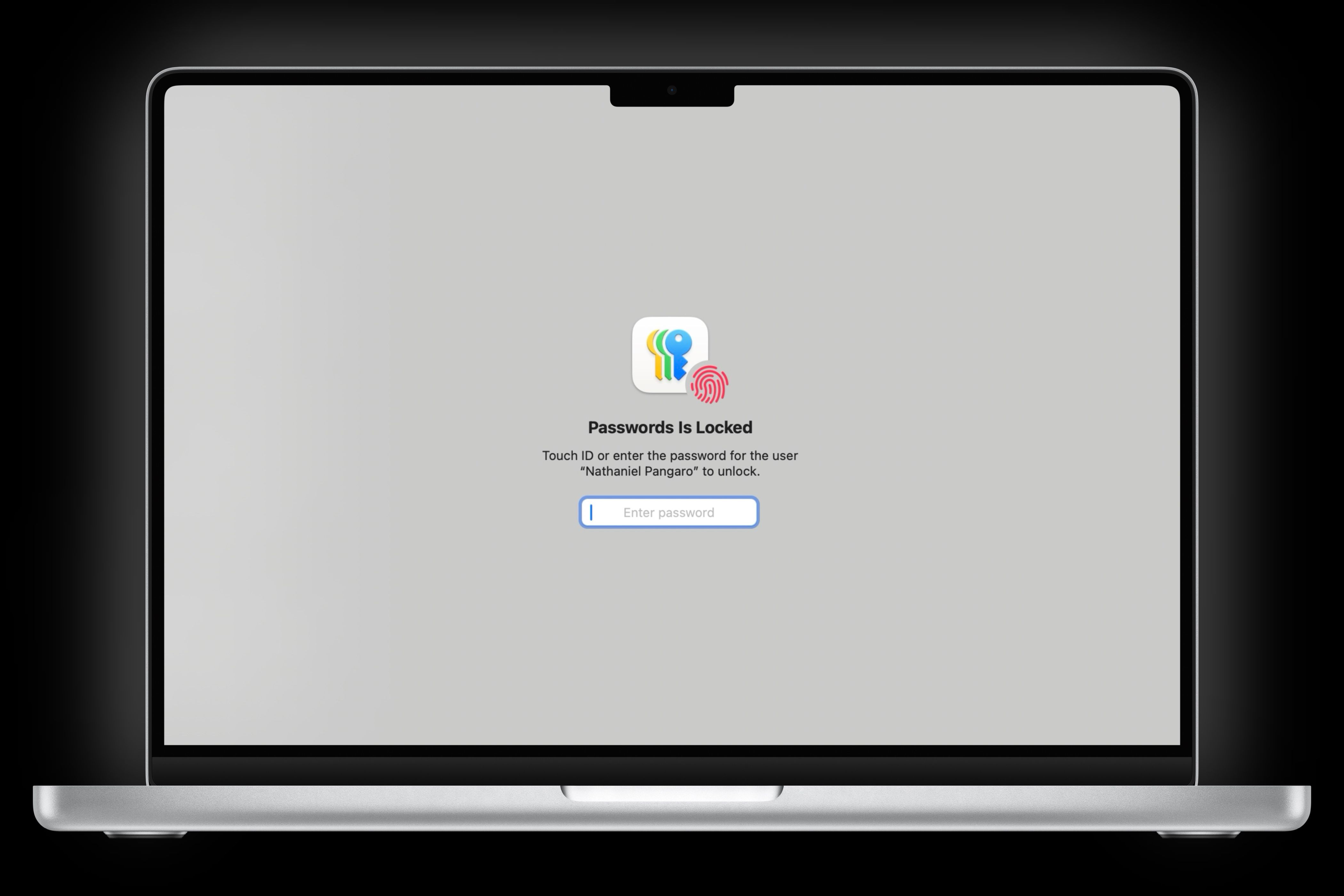 Password app asking for authentication on MacBook Pro.