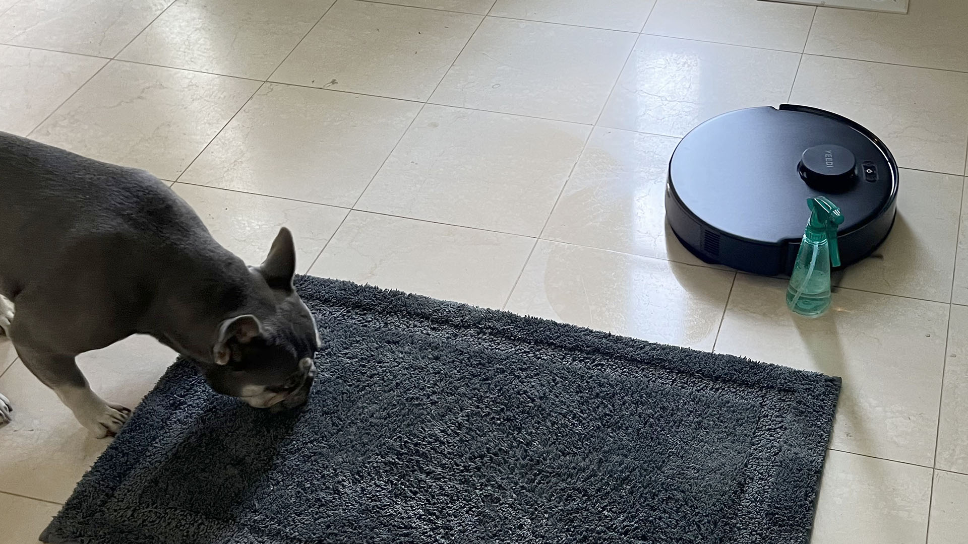 Yeedi C12 Pro Plus robot vacuum pushing squirt bottle out of the way