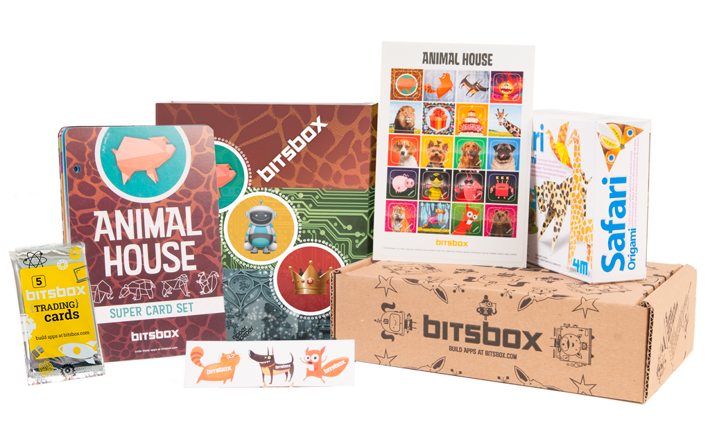 Bitsbox – A Coding Subscription Box