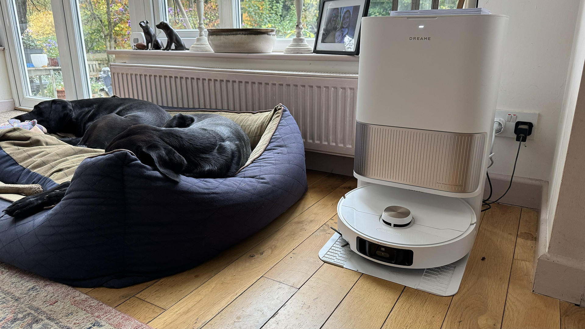 Dreame L40 Ultra robot vacuum in its dock, next to dog bed