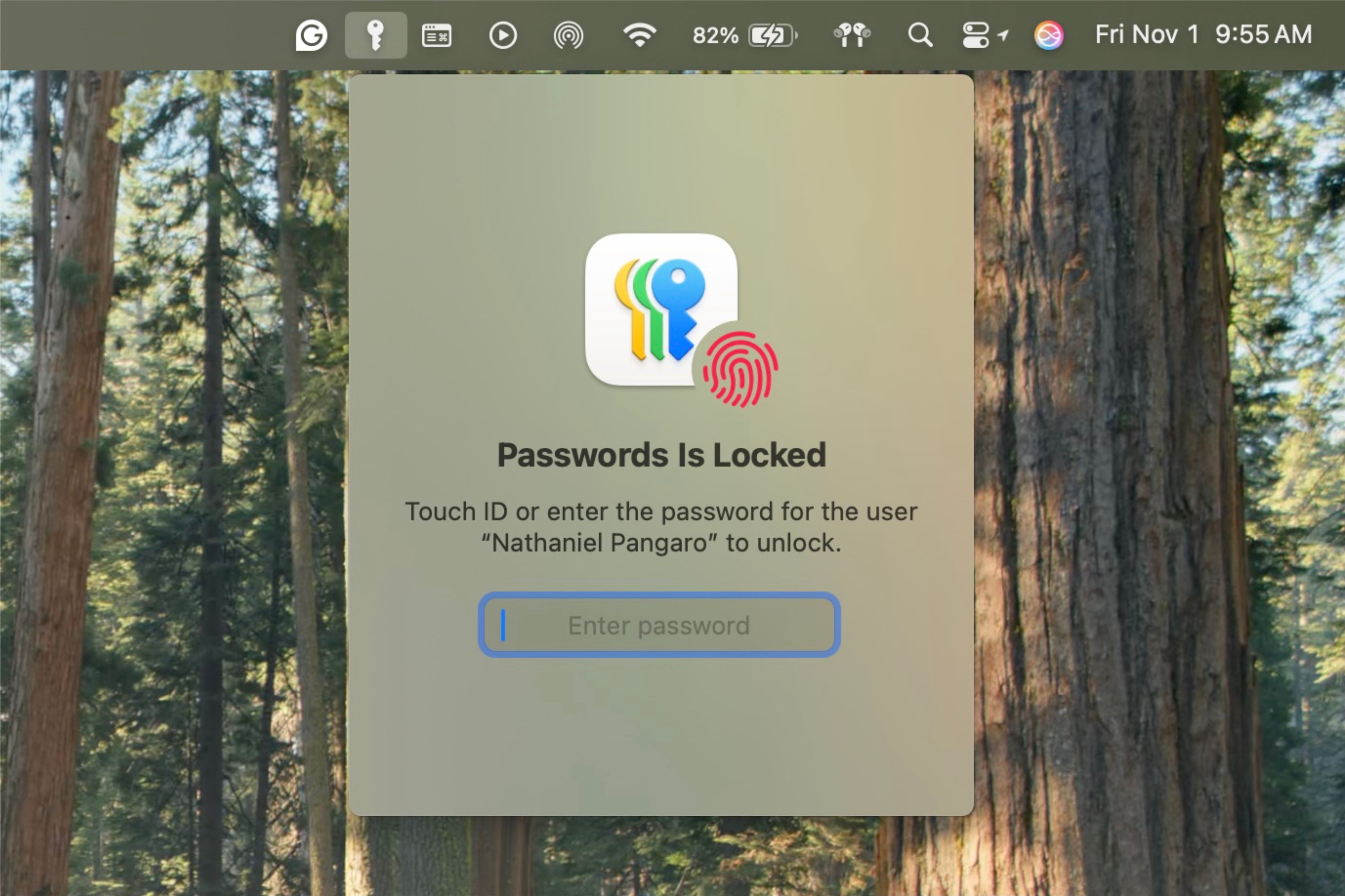 Verification by password or Touch ID from the Password app when opening it.